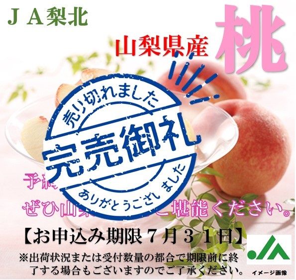 山梨県　梨北米　有機玄米 令和6年産『梨北米』梨北信玄米 コシヒカリ5kg | 日本一に輝い