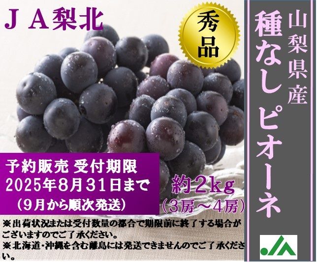 シャインマスカット秀品‼️2kg ‼️3房‼お買得‼️️ シャインマスカット” 秀品 3〜5房 約2kg 産地厳選【予約 8月下旬