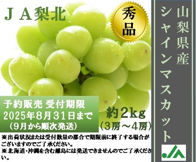 山梨県甲州勝沼産 ぶどう シャインマスカット 秀品 4房 シャインマスカット 山梨県 長野県産 種なしシャインマスカット