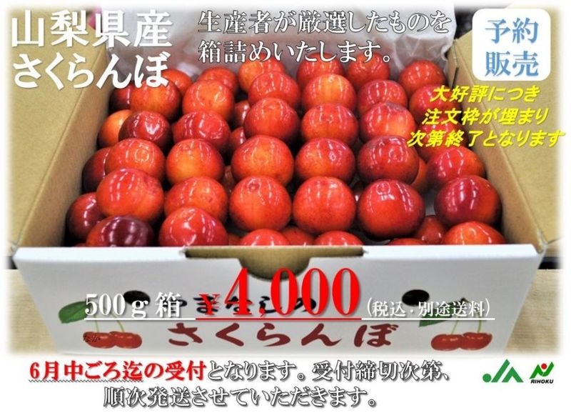 すべての商品 | 日本一に輝いたお米「梨北米」と山梨県の果物通販【JA