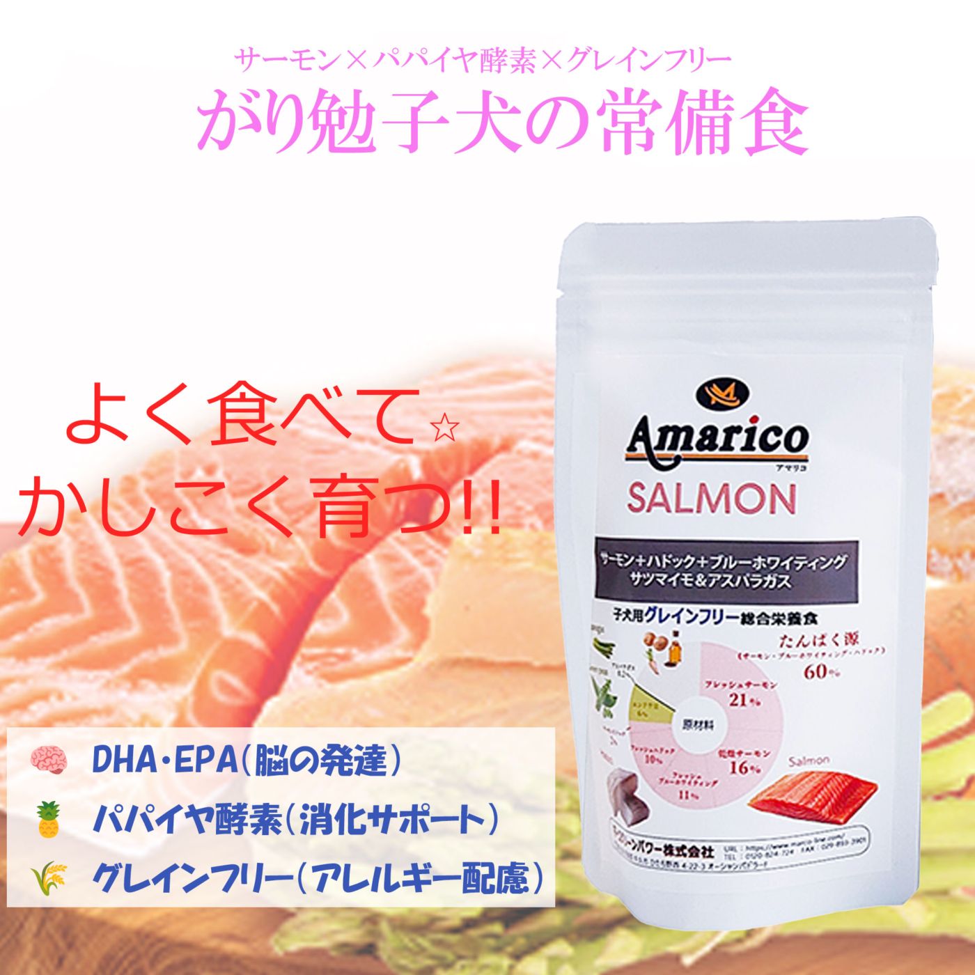 Amarico パピー サーモン 子犬用 グレインフリー ドッグフード