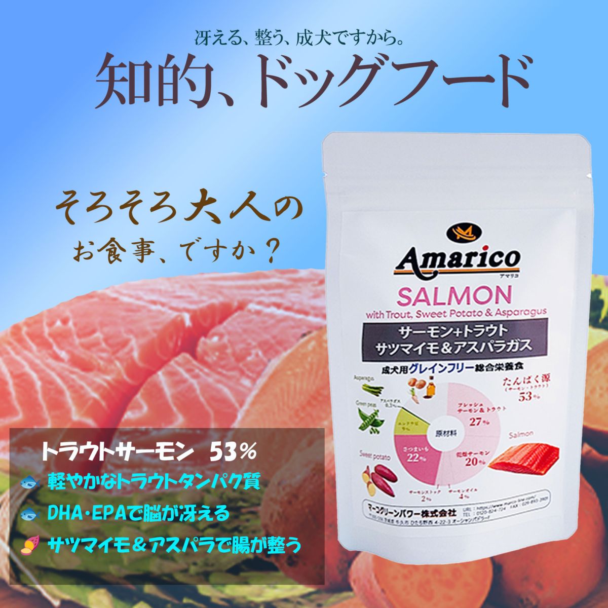 Amarico アダルト サーモン　成犬用 グレインフリー ドッグフード