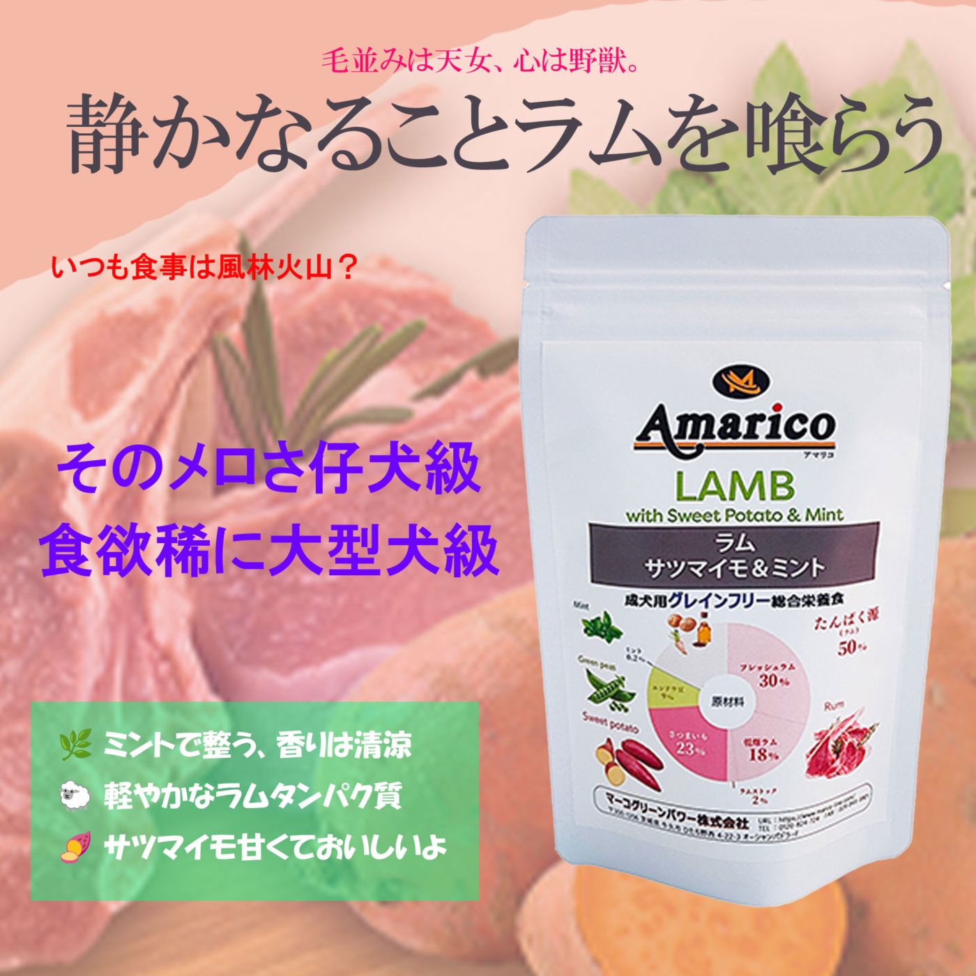 Amarico アダルト ラム　成犬用 グレインフリー ドッグフード