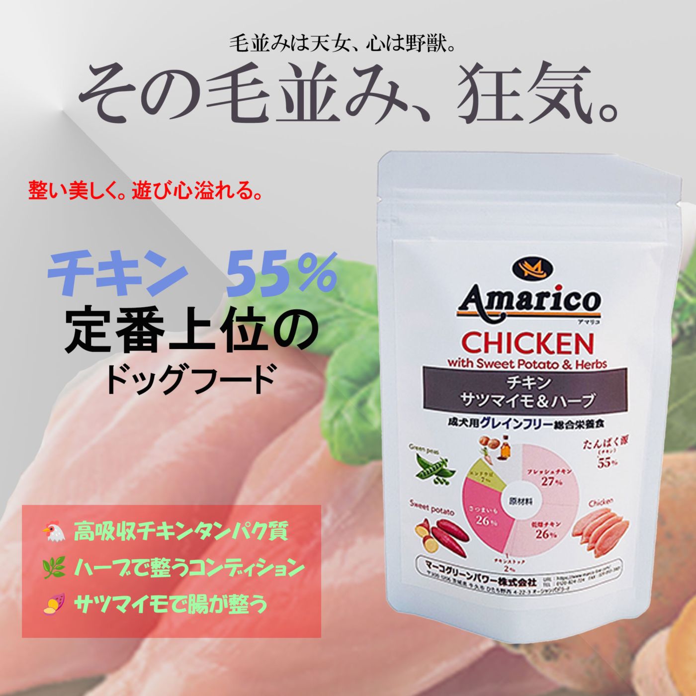 Amarico アダルト チキン　成犬用 グレインフリー ドッグフード