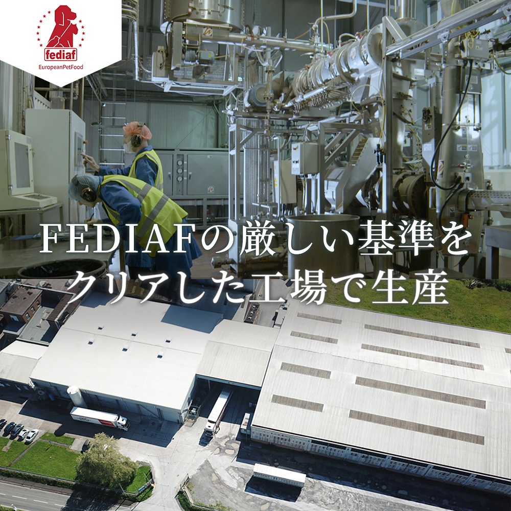 Amarico 成犬用 グレインフリー チキン49.5％ ハーブ入り ドッグフード 3kg  ヘルシーグレード　RED