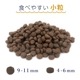 Amarico 成犬用 グレインフリー チキン49.5％ ハーブ入り ドッグフード 3kg  ヘルシーグレード　RED