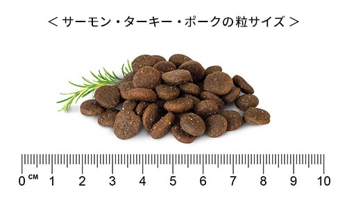 ステイロイヤル グレインフリー【サーモン・ターキー・ポーク 3kg】ドッグフード 