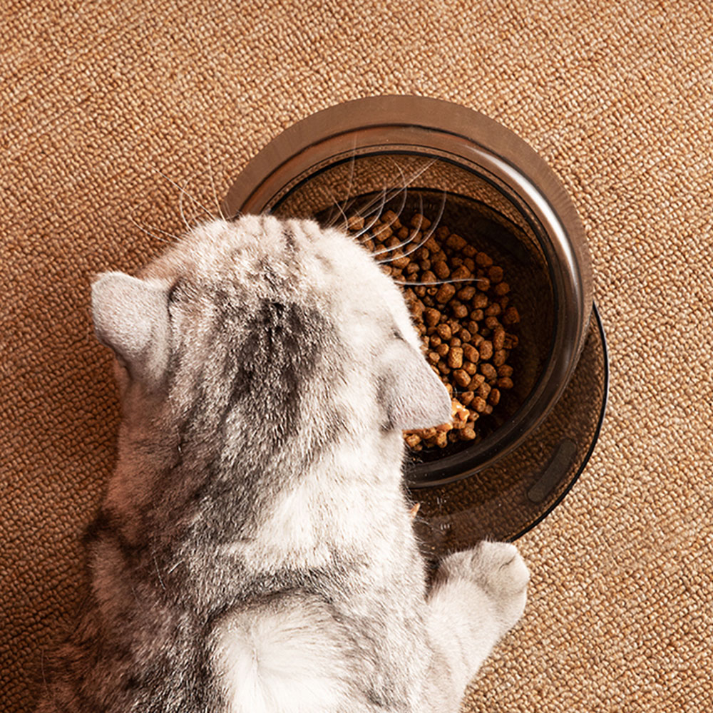 Ibiyayaペット用フィーディングボウル ペットフードボウル 食器 イビヤヤ FP0005