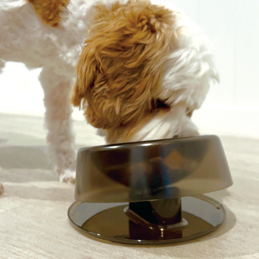 Ibiyayaペット用フィーディングボウル ペットフードボウル 食器 イビヤヤ FP0005