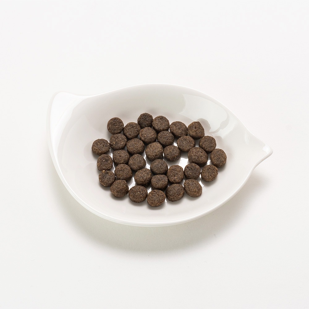 【消費期限切れ2025年7月5日】BELLFOR インセクト 昆虫 Landgut-Schmaus 田舎の邸宅のごちそう 1.2kg インセクトタンパク質配合  ドッグフード ベルフォア 2847401 MarsaPet