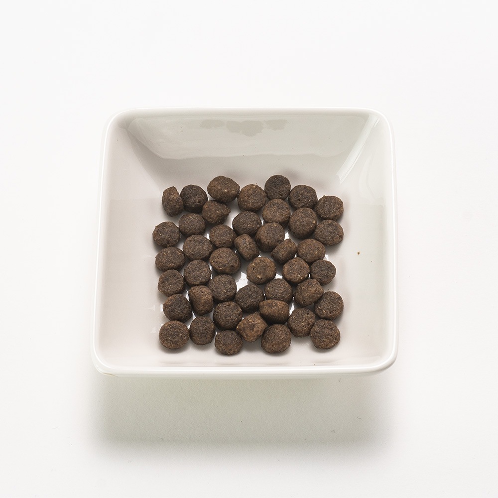 I love my cat INSEKTEN インセクト 1.2kg インセクトたんぱく質 オメガ3脂肪酸含有 グルテンフリー総合栄養食 低アレルギー性 猫の餌 アイラブマイキャット 25003 MarsaPet