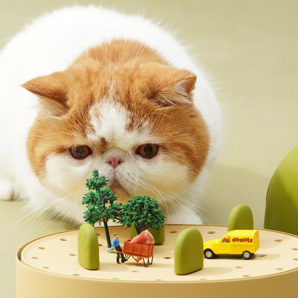 猫のおもちゃ ネコの好奇心をそそる穴あきボックス HEBENA