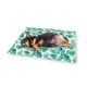 ibiyaya ペット ひんやりマット 犬 猫 クールマット 冷感マット Chill Pad Dog Cooling Mat イビヤヤ FP0029