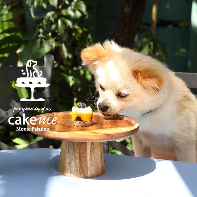 愛犬用 鹿肉のケーキ5個入 かぼちゃとブルーベリーのタルト風 無添加 厳選素材 お誕生日 お祝い 特別なご褒美おやつ【福岡より産地直送】 【冷凍】