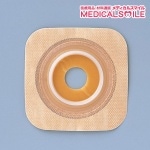 Хꥱʥ饽եȥե󥸡ץ쥫å(1)(Ǿ)