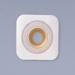 ǥء֡ʥCե󥸡(1)(Ǿ)