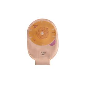 ��������ɥåȥɥ�ʥ֥�ե�åȡ�89-840301NF��ɸ�ࡡƩ����15-55����(���1����)(����Ǿ���)