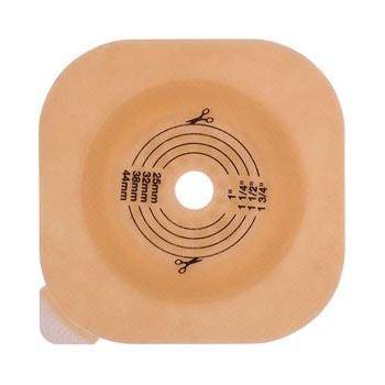 �˥塼���᡼��FWF���������ݸ�� (���1����)(����Ǿ���)