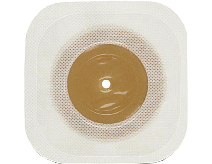 ȥ󾮻ѥġԡϥɥϡ(1)008231Ȣ(5(Ǿ)