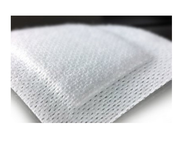 �ץ�ޥݥ�(���1����)��66000319��20cm��10cm��1Ȣ��20���