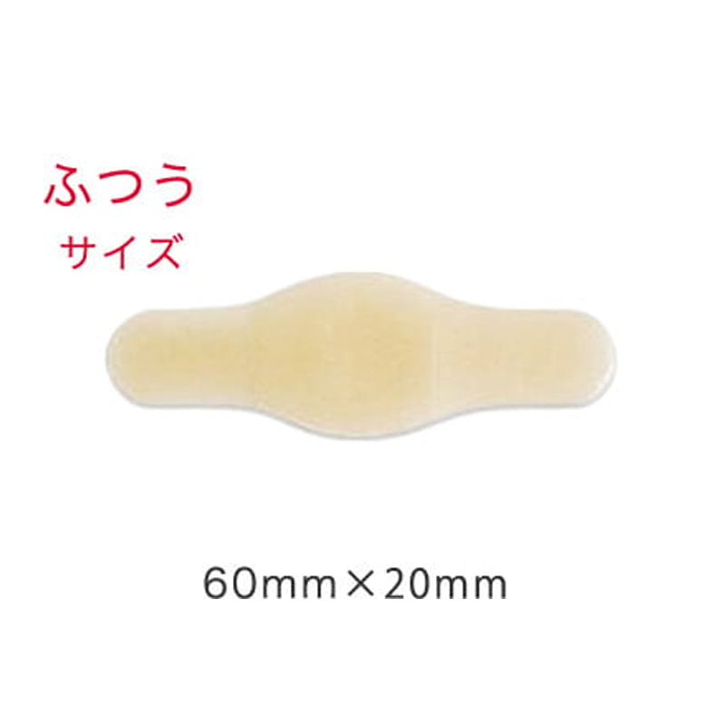 ѥѥåɡ021906 ¥ դĤ 2cm6cm 1Ȣ10(1)