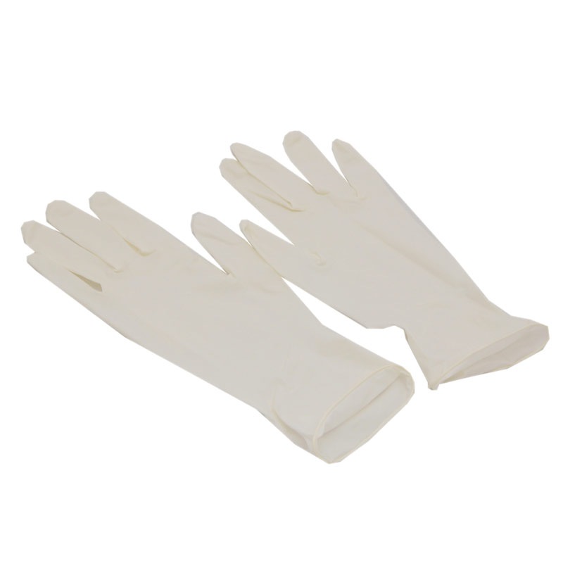 ѡƥå֡19233L1Ȣ100 ¨в١