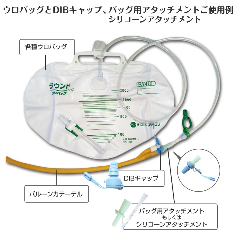 ڤ椦ѥåȯʡ¾ʤȤΤʸԲġDIBåס400100-01 ¨в١˺磳Ĥޤ