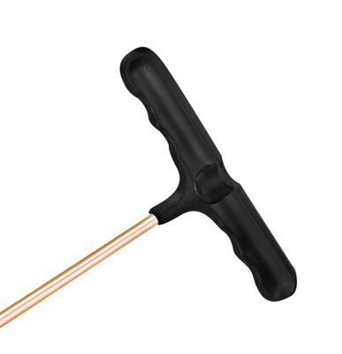 T�� ��ɳ�졼�������ȥʡ�