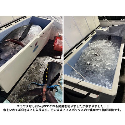 ICEY-TEK ���󥰷��������ܥå���600L