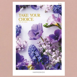 вءۥϡ˥å ե ƥ楢祤 ͥͥ 