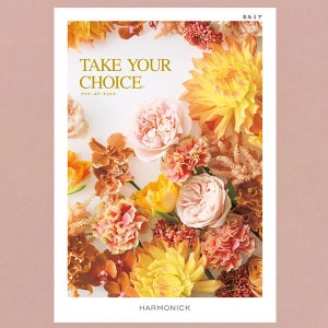 вءۥϡ˥å ե ƥ楢祤 ߥ ̵ 