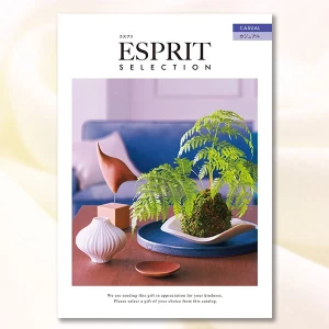 вءۥϡ˥å ե ץ 奢륳