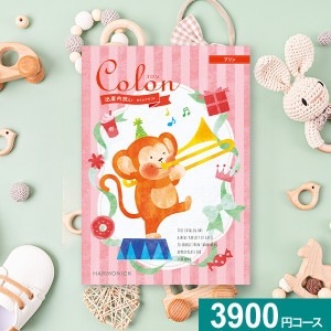 ϡ˥å лˤѥե colon-- ץ