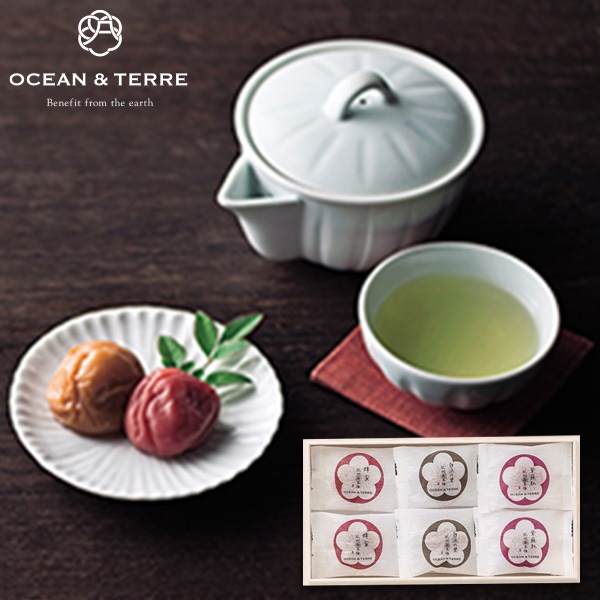 OCEAN & TERRE オーシャンテール Premium 紀州南高梅 6粒 木箱入り