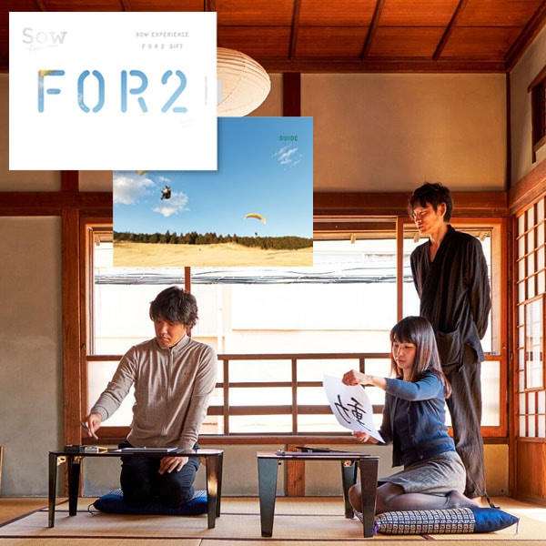 【希少2LP】Doves - Some Citiesアナログ盤 送料込み 楽天市場】【送料無料】T&S/ティーアンドエス LEGEND WALKER