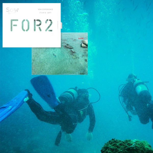 ギフト特急便】SOW EXPERIENCEソウ・エクスペリエンス カタログ