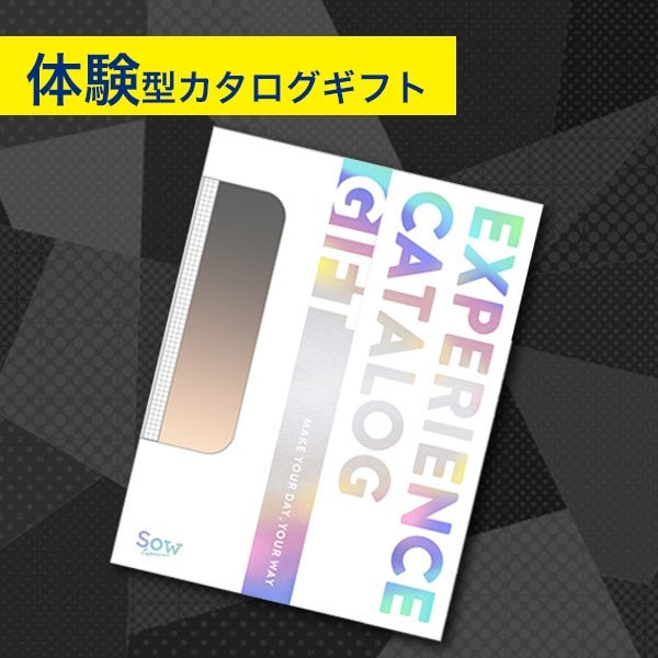 ギフト特急便】SOW EXPERIENCEソウ・エクスペリエンス 総合版カタログ