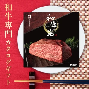 вءµ ᥫե (ޤ) ̵ 