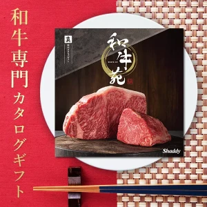 вءµ ᥫե (ޤ) ̵ 