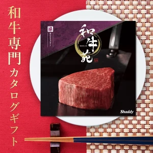 вءµ ᥫե Ͻ() ̵ 