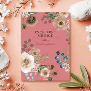 �����������ե� ���������ȥ��祤��EXCELLENT CHOICE 8900�ߥ�������HO�� ������̵���� ��