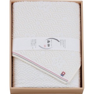 �ʤ��ߤ� �Х������� NG-23300 ������̵����