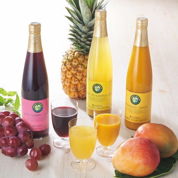 ジュースです フロリダスモーニング マンゴー&フルーツ100%ジュース MGP30