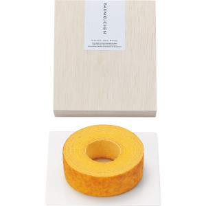 Х९إ(Ȣ) KB1-10G 