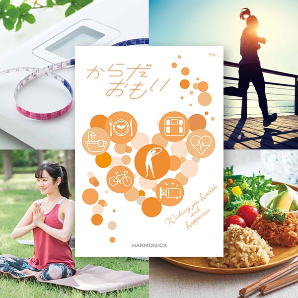 �ϡ���˥å� �����������ե� ��������⤤ KDL������ ������̵����