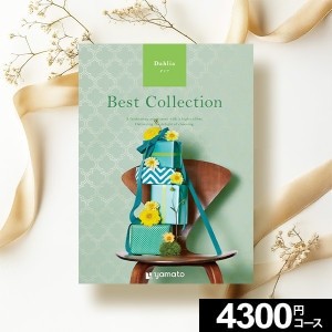 ե Best Collection ٥ȥ쥯 ꥢ