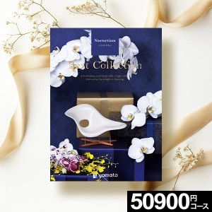 ե Best Collection ٥ȥ쥯 ʥ ̵