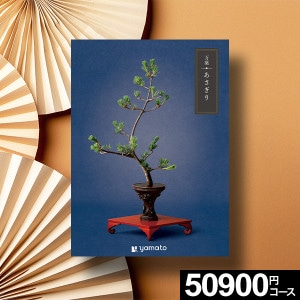 �����������ե� ���� �������� ������̵����