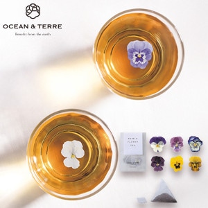 OCEAN & TERRE ơ ǥ֥եƥ 1 10Ķ 