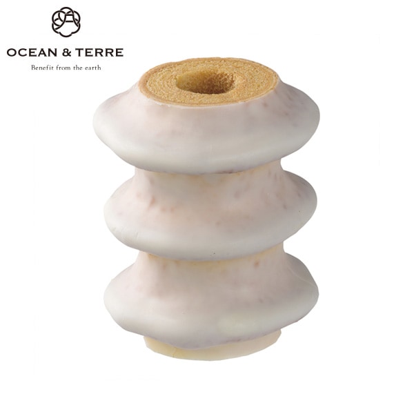 OCEAN & TERRE ơ Ρ祳󥰥С 10Ķ 